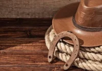 Léo Chaves, do sertanejo ao milionário criador de gado Senepol que vale mais de R$ 25 mil por animal