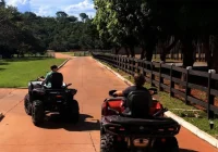 Mansão de R$ 50 Milhões de Gusttavo Lima Vira Cenário de Caça aos Ovos para Filhos Gabriel e Samuel em Festa de Páscoa