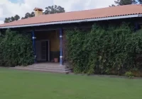 Quadro Inestimável na Fazenda Milionária: Sorocaba Revela Tesouro Familiar Feito à Mão em SP